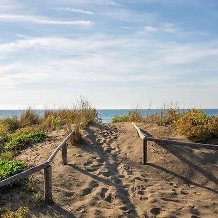 Iris カスタニェート・カルドゥッチ